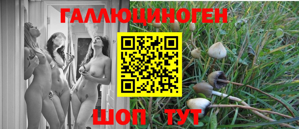 Псилоцибиновые грибы Magic Shrooms  где купить наркотик  Будённовск  Вход с VPN  Галлюциногенные грибы Magic Shrooms 